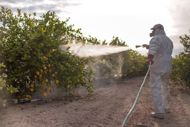 Best Commercial Pest Control Services  in Tracy, MN