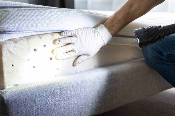 Pest Control Cost in Tracy, MN