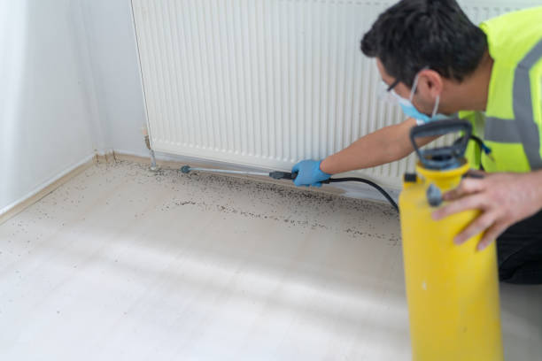 Trusted Tracy, MN Pest Control Experts