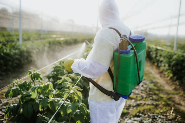  Tracy, MN Pest Control Pros